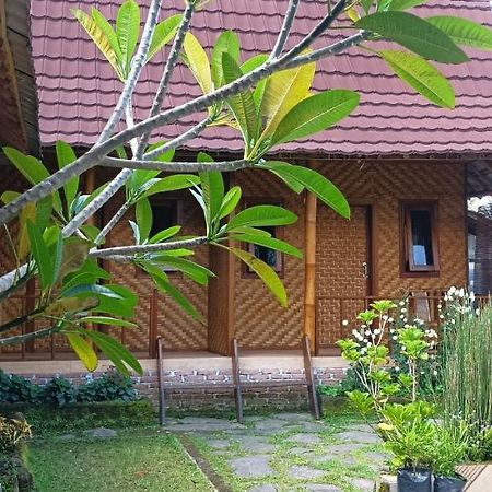 Mysha Guest House-Lombok テテバトゥ エクステリア 写真