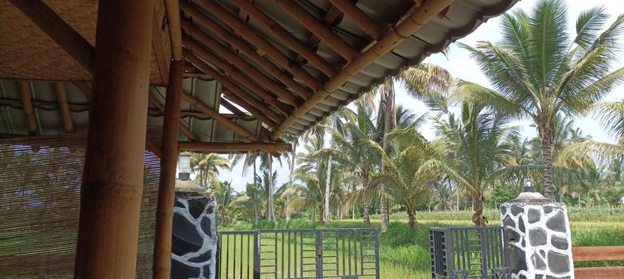 Mysha Guest House-Lombok テテバトゥ エクステリア 写真