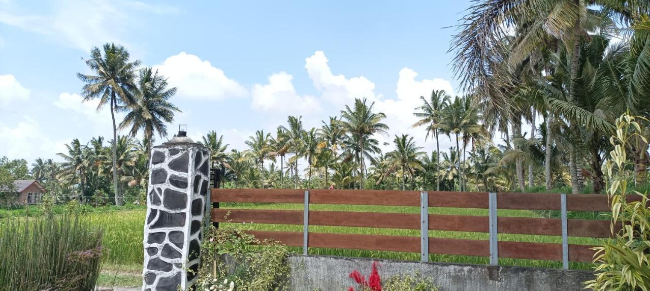 Mysha Guest House-Lombok テテバトゥ エクステリア 写真