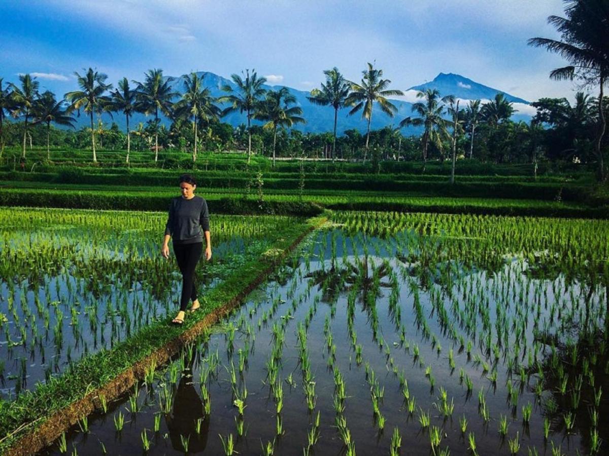 Mysha Guest House-Lombok テテバトゥ エクステリア 写真
