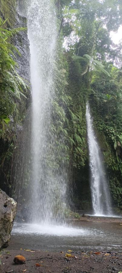 Mysha Guest House-Lombok テテバトゥ エクステリア 写真