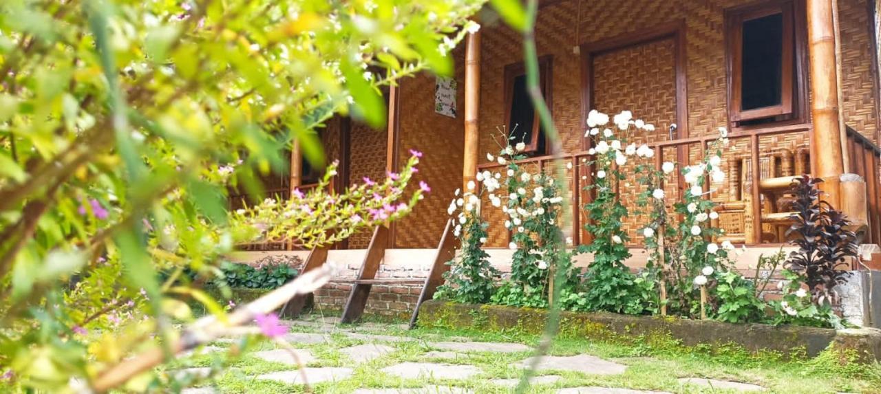 Mysha Guest House-Lombok テテバトゥ エクステリア 写真