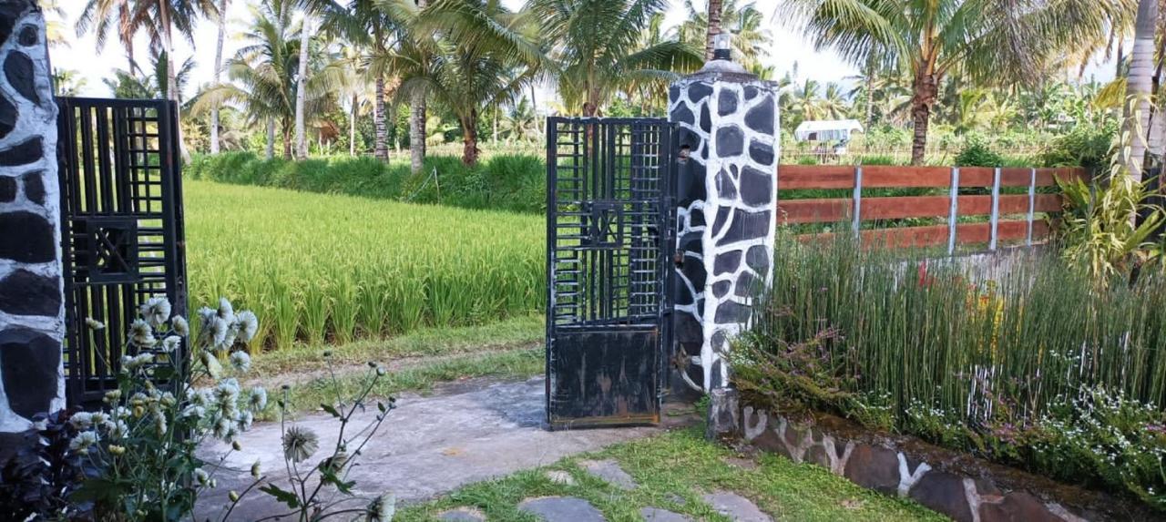 Mysha Guest House-Lombok テテバトゥ エクステリア 写真