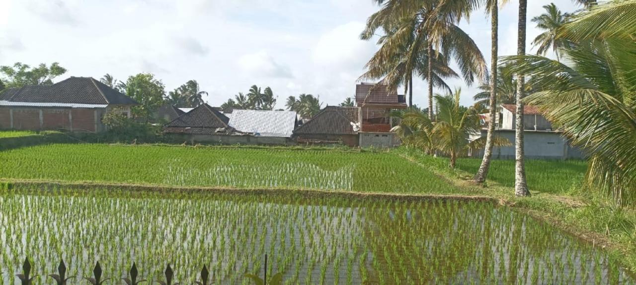 Mysha Guest House-Lombok テテバトゥ エクステリア 写真