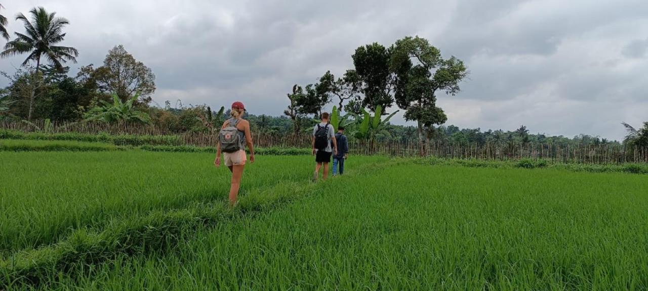 Mysha Guest House-Lombok テテバトゥ エクステリア 写真