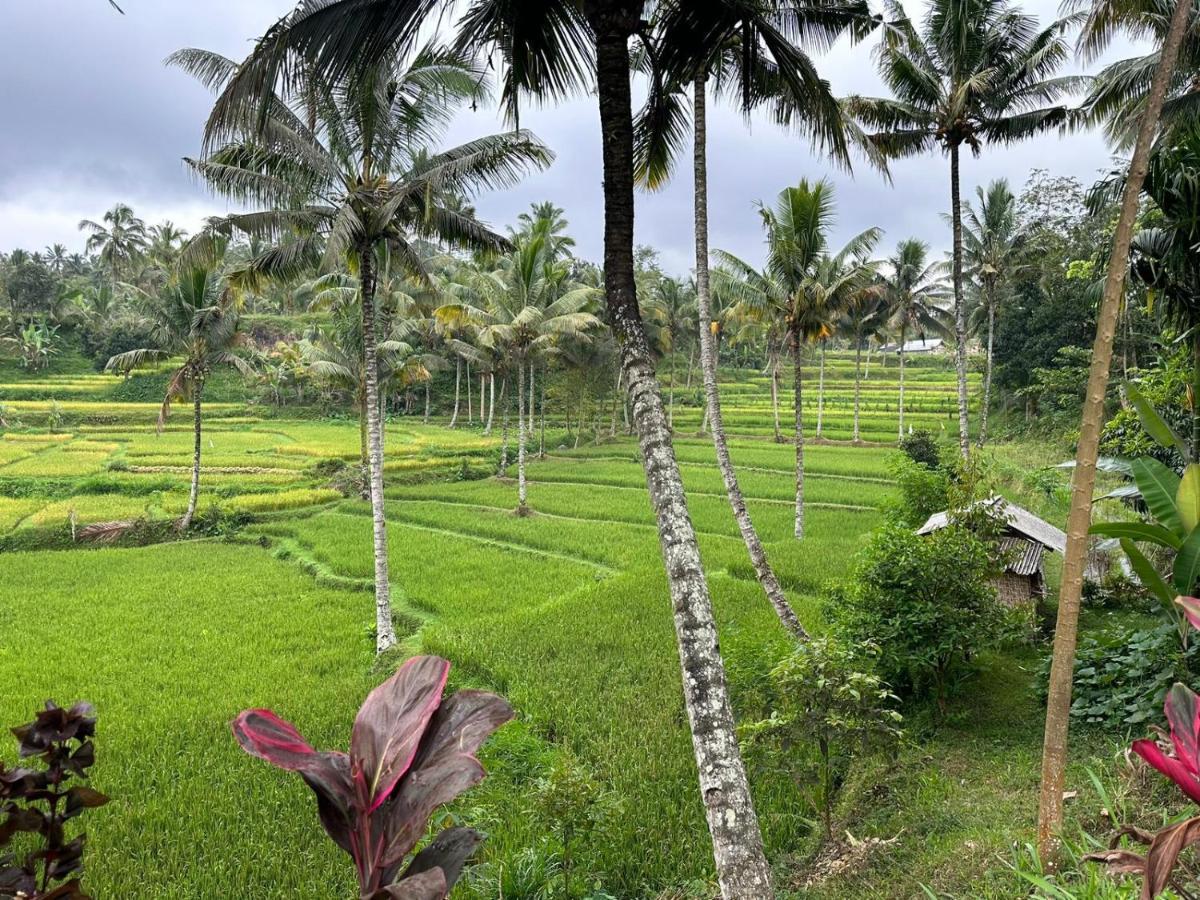 Mysha Guest House-Lombok テテバトゥ エクステリア 写真