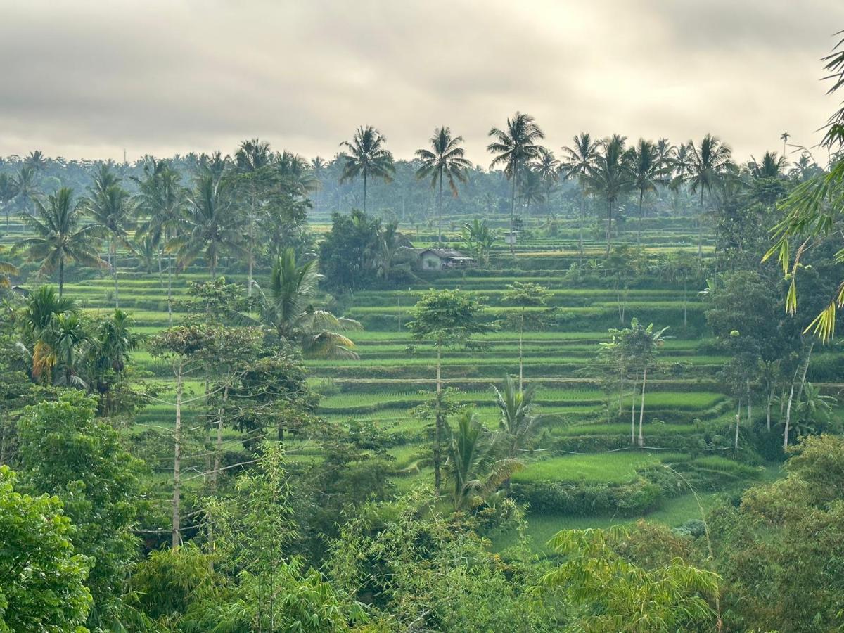 Mysha Guest House-Lombok テテバトゥ エクステリア 写真