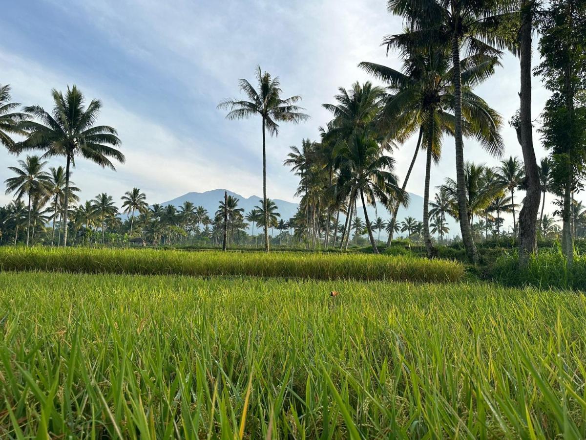 Mysha Guest House-Lombok テテバトゥ エクステリア 写真